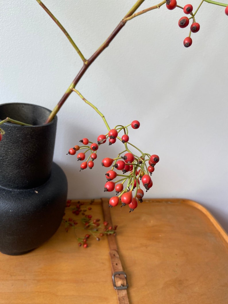 May include: A matte black ceramic vase with a rounded base and a cylindrical neck, containing a slender branch with numerous small, bright red rose hips. The branch extends outward, displaying clusters of round, vibrant red berries with dark tips.