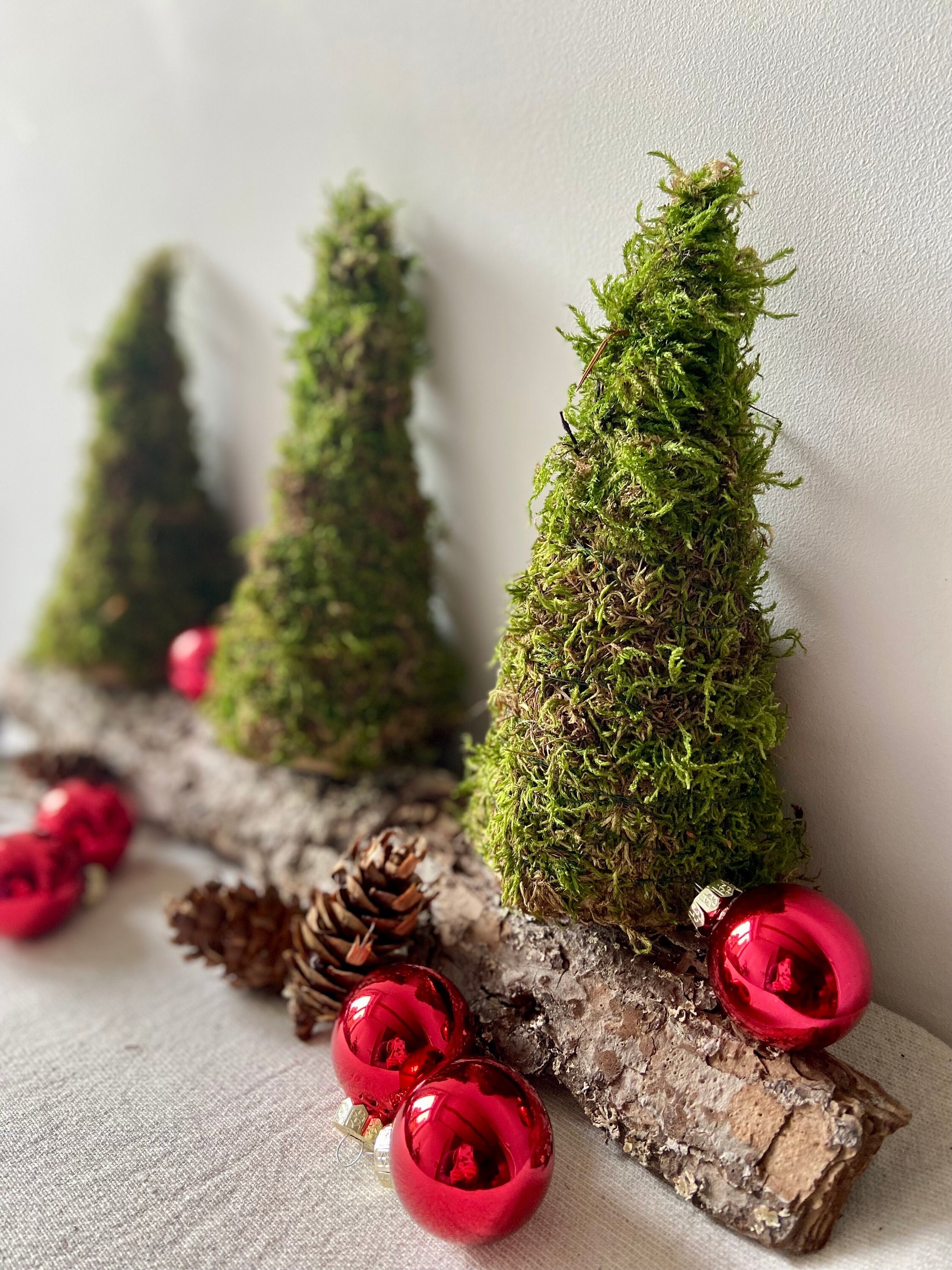 Tannenbaum aus Moos | Moosbaum | Advent | Weihnachten | Deko | Winter | Naturdeko | Mini-Tannenbaum