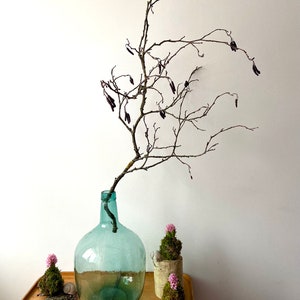 Alder branch | Decorative branch | Easter branch | Spring branch | dried branches | Branch for Easter decoration | Branch for spring decoration