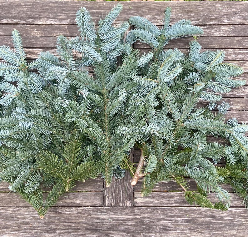 Corona di Natale Rami stella Verde abete - Corone e rami - Eminza