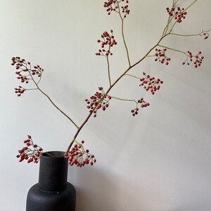 May include: A matte black ceramic vase with a rounded base and a cylindrical neck, containing a long, branching stem adorned with numerous small, round, reddish-pink berries. The stem extends upward and outward, showcasing clusters of berries.