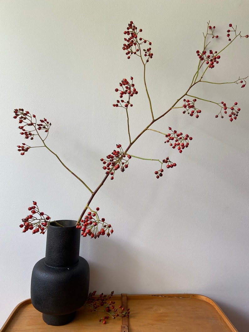 May include: A matte black ceramic vase with a rounded base and a cylindrical neck, containing a long, branching stem adorned with numerous small, round, reddish-pink berries. The stem extends upward and outward, showcasing clusters of berries.