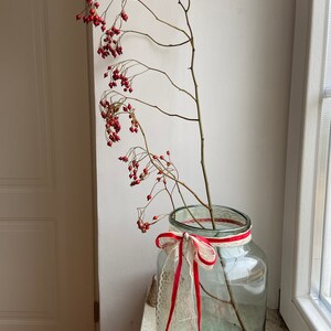 May include: A clear glass jar with a wide mouth, decorated with a white lace ribbon and a thin red ribbon tied in a bow around the neck. Two long, slender brown branches with clusters of small, round, bright red berries extend upward.