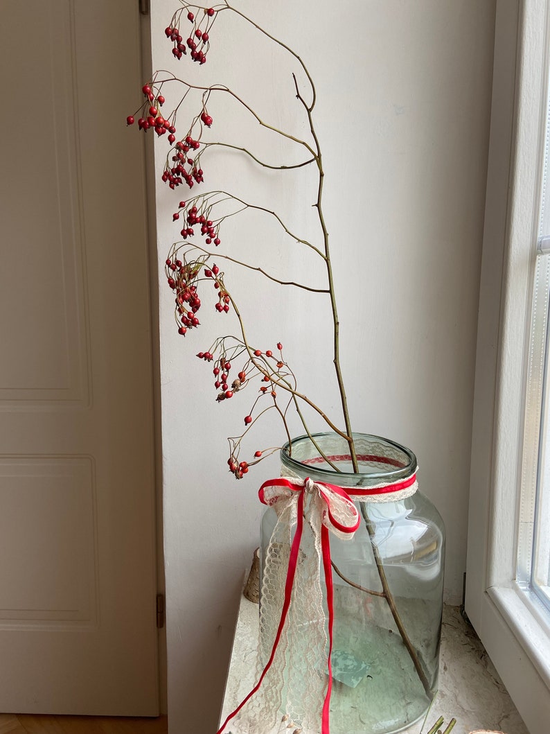 May include: A clear glass jar with a wide mouth, decorated with a white lace ribbon and a thin red ribbon tied in a bow around the neck. Two long, slender brown branches with clusters of small, round, bright red berries extend upward.