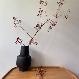 May include: A matte black vase with a cylindrical neck and a rounded body holds a long, branching stem covered in small, round red berries. A second, smaller stem with matching red berries rests horizontally on the surface near the vase base.