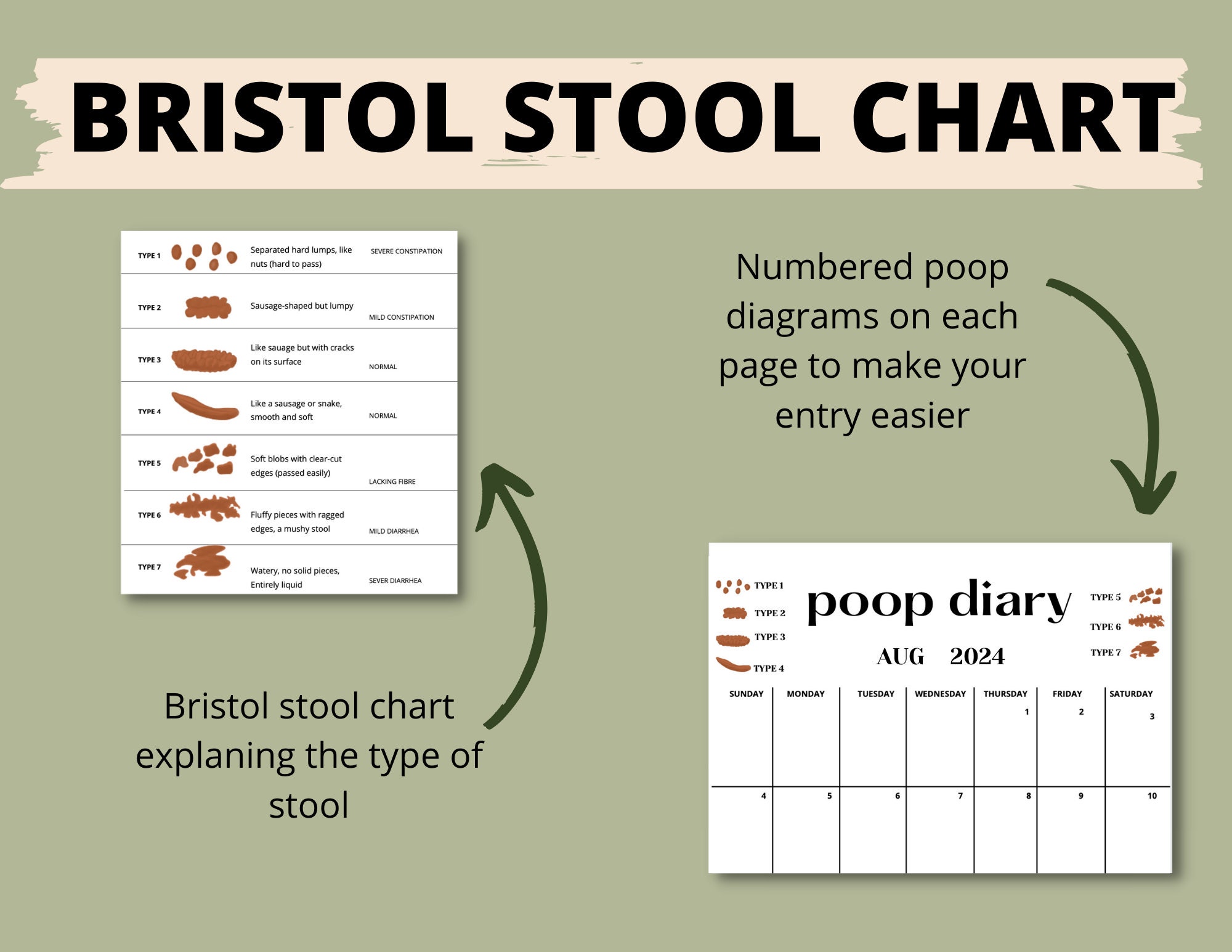 2024 Poop Calendar,stool Tracker,bristol Chart,bowel Movement Journal,poop Tracker Printable ...