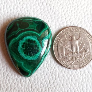 39X23X5 mm OC-3196 Natural Malachite Oval Shape Cabochon Loose Gemstone For Making Jewelry 58.5 Ct