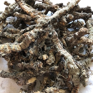 Könnte beinhalten: Ein Haufen getrockneter, knorriger Wurzeln mit einer rauen, strukturierten Oberfläche. Die Wurzeln sind hauptsächlich braun und beige, mit einigen grauen und faserigen Bereichen. Das Bild deutet auf ein natürliches, organisches Produkt hin, möglicherweise für Kräutermittel oder kulinarische Zwecke.