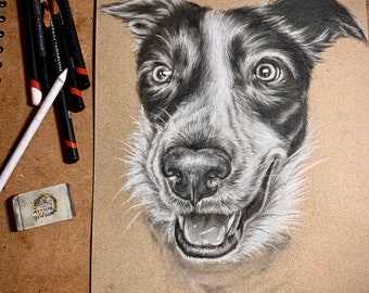 Charcoal animal artwork commission