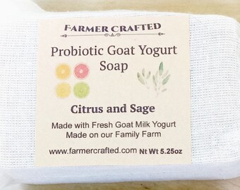 Probiotic Rich Goat Yogurt Soap Citrus & Sage
