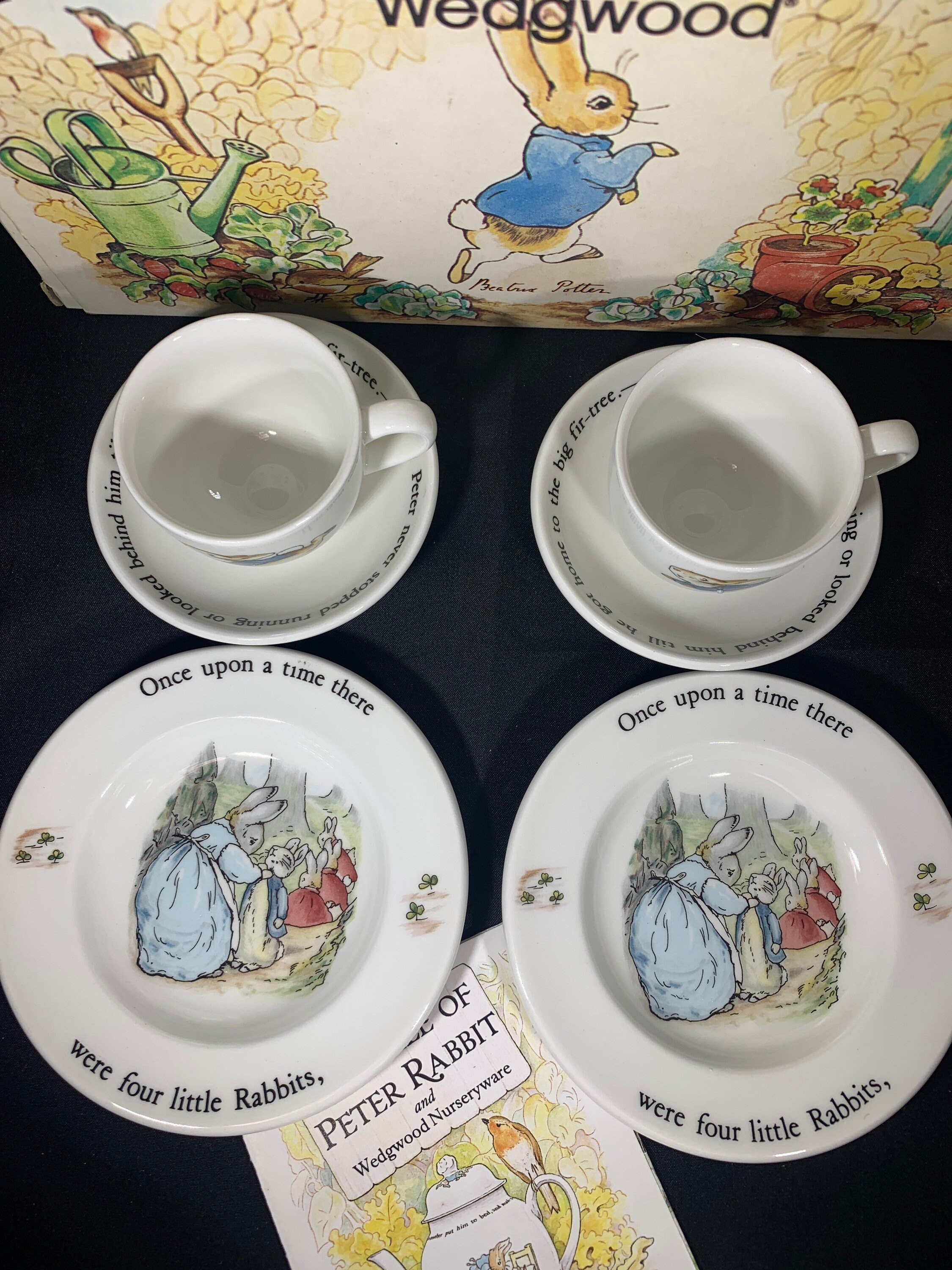 Wedgwood Peter Rabbit Childrens Tea Set Etsy