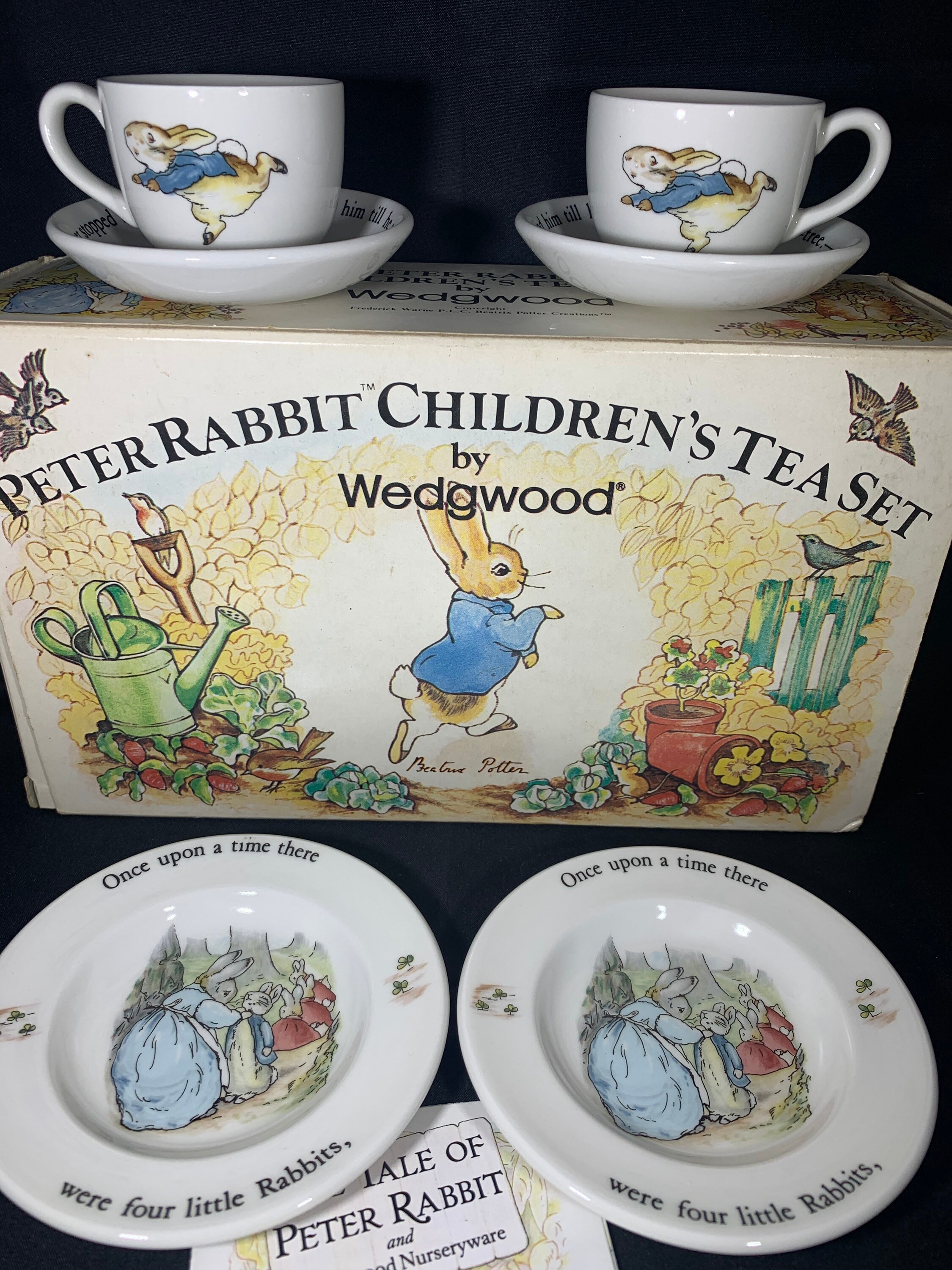 Wedgwood Peter Rabbit Childrens Tea Set Etsy