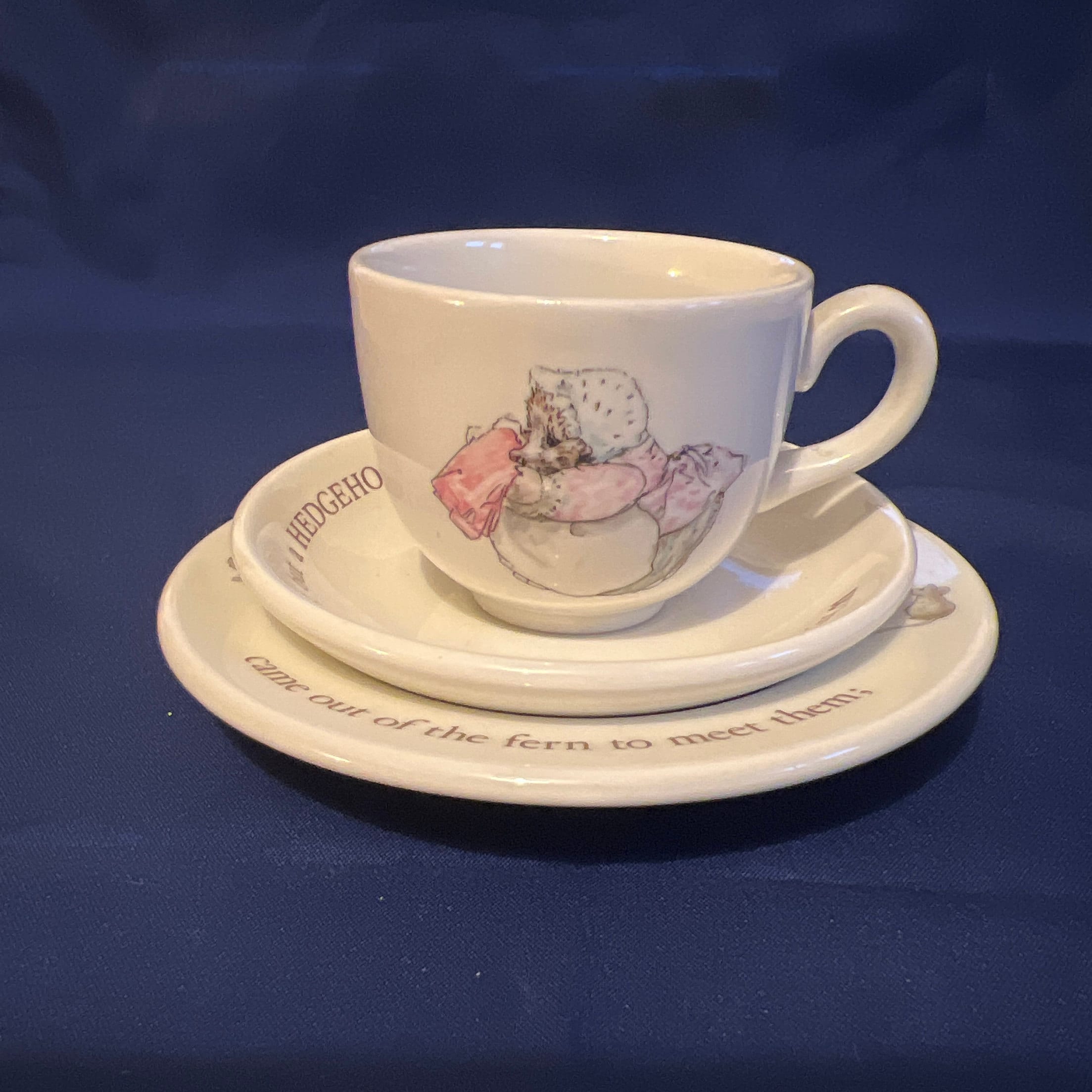 Peter Rabbit Cup and Saucer - Etsy Canada