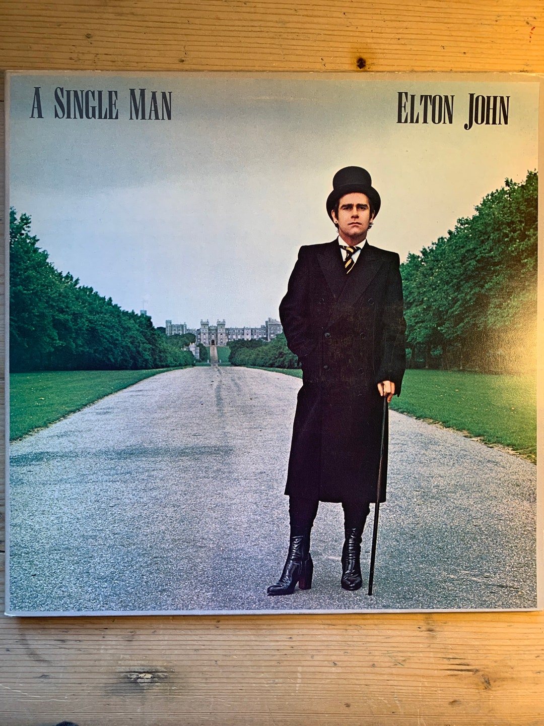 Elton John A Single Man ピクチャーレコード A Single Man: Vinyl LP - Elton John