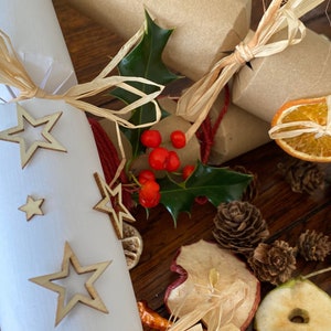 Kit fai da te per cracker di Natale senza plastica, marrone kraft o bianco con cappelli dorati, argentati e bianchi - Barzellette stampate su carta per semi piantabili