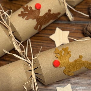 Kit di cracker natalizi a forma di renna - Barzellette con semi di carta piantabili - Riempitivi opzionali per cracker per bambini senza plastica