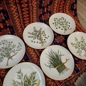 Porcelain Herb Printed Plates Set of 6, Made in Japan