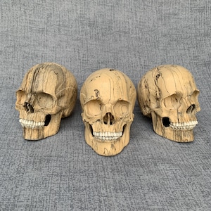 May include: Three human skull replicas carved from light-colored wood with dark, natural grain patterns and visible wood knots. Each skull features detailed eye sockets, a nasal cavity, and a set of white teeth, arranged in a row on a surface.