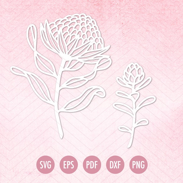 Waratah flower, foliage, Australian natives cut file, clipart for Cricut & Silhouette, laser cut, SVG