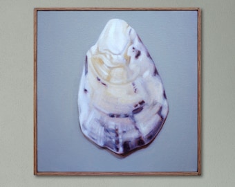 Oyster Shell Painting, Contemporary Realism | 12x12 Original Oil Painting with Handmade Frame | Modern Coastal Wall Art, Kitchen Wall Art