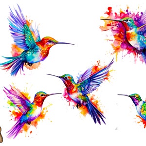Watercolor Hummingbird Sublimation design bundle