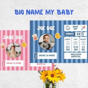 Editable Baby Shower Frame, Bio Name Frame, Download, Printable Baby Bio, Gift Frame Baby, Unique Photo Frame