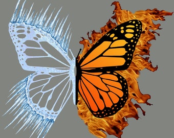 Fire and Ice Butterfly