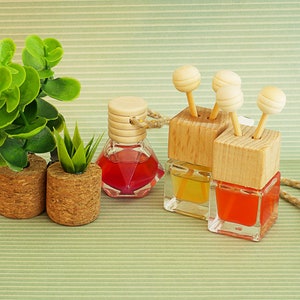 May include: Three glass bottles with wooden tops and colorful liquid inside. The bottles are hanging from a string and are on a green and white striped background. There are two small potted plants in the foreground.