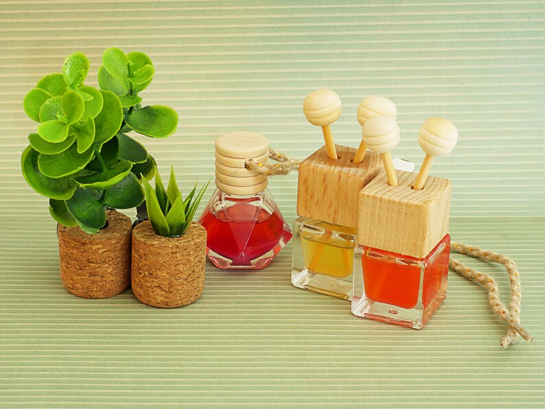 May include: Three glass bottles with wooden tops and colorful liquid inside. The bottles are hanging from a string and are on a green and white striped background. There are two small potted plants in the foreground.
