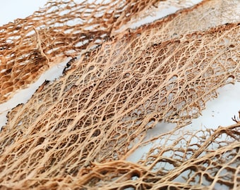 Dried Prickly Pear Fiber Cactus Skeleton From 0.50 M to 2.50 M - Opuntia  Ficus Indica - Etsy Canada