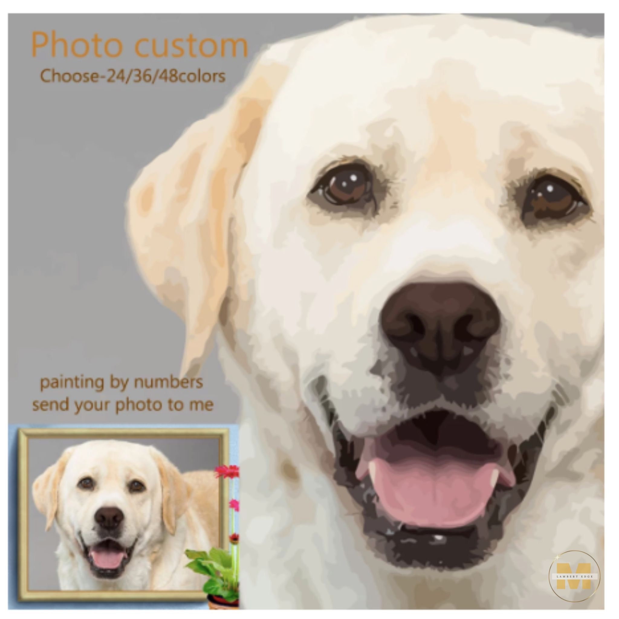 Photo to Custom Paint by Numbers, Up To 48 Colors