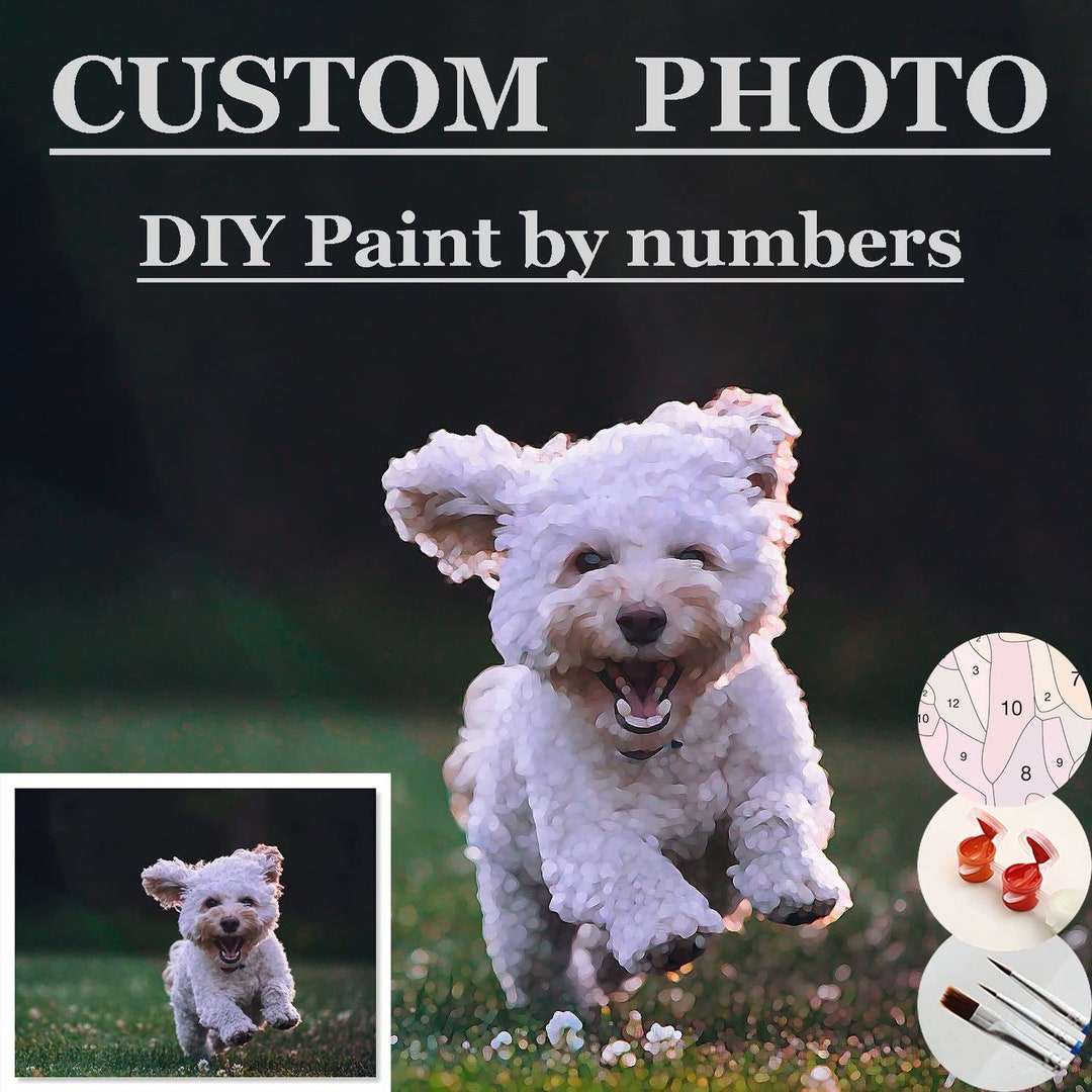 Personalized Paint by Numbers Custom Photo, Customized Paint by Numbers