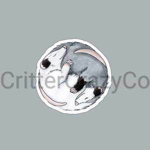 Yin Yang Opossum MAGNET