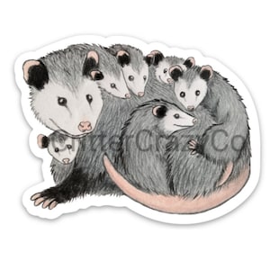 Babies with Mama Opossum Sticker,large
