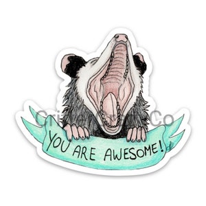 You are Awesome Opossum MAGNET