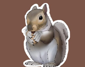 Snacking Squirrel Sticker