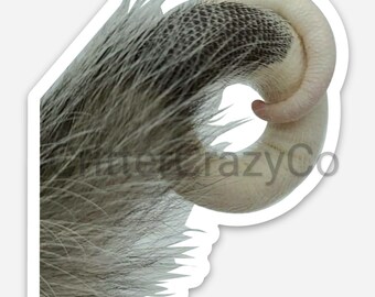 Curly Opossum Tail Sticker