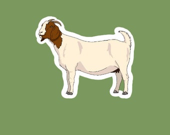 Boer Goat Sticker