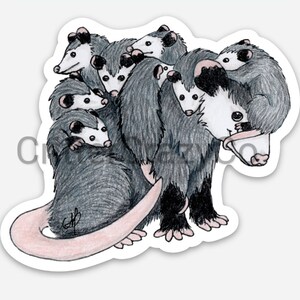 Opossum Mom with Babies MAGNET
