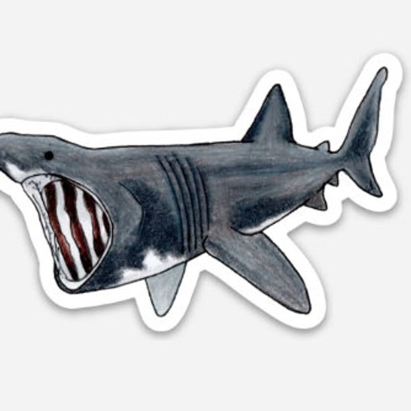 Basking Shark Sticker, waterproof and made from high quality vinyl