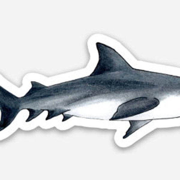 Bull Shark Sticker