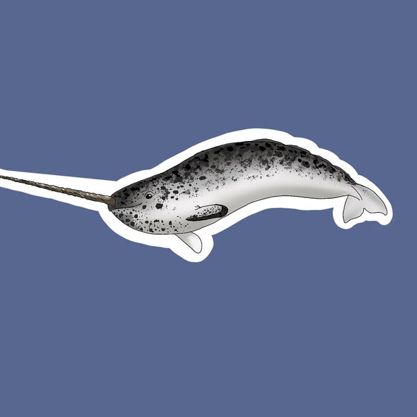 Narwhal Sticker - Etsy