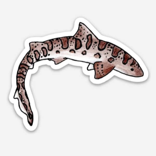 Leopard Shark Sticker - WHITE background