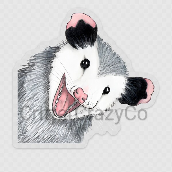 Transparent Opossum Peek A Boo Sticker, Small