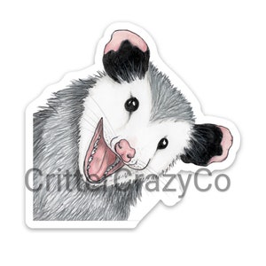 Opossum peek-a- boo MAGNET (small)