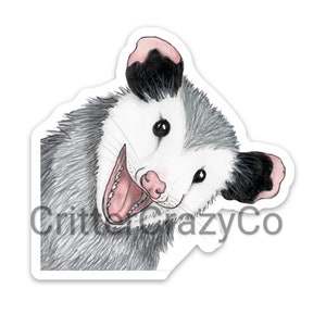 Opossum peek-a boo MAGNET small Bild 1