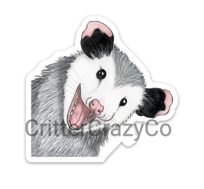 Opossum peek-a boo MAGNET small Bild 1