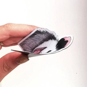 Opossum peek-a boo MAGNET small Bild 4