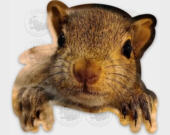 Squirrel Sticker