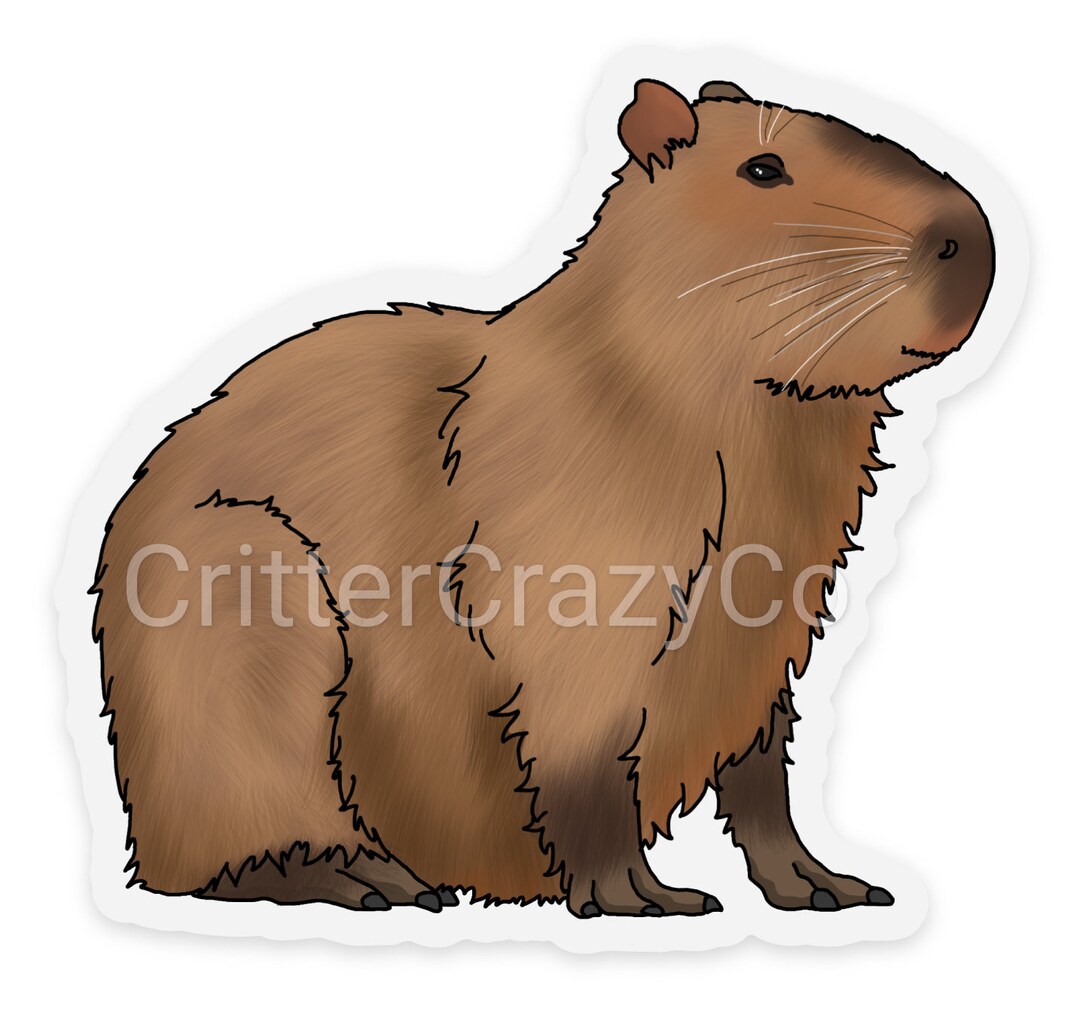 Capybara Sticker, CLEAR BACKGROUND - Etsy